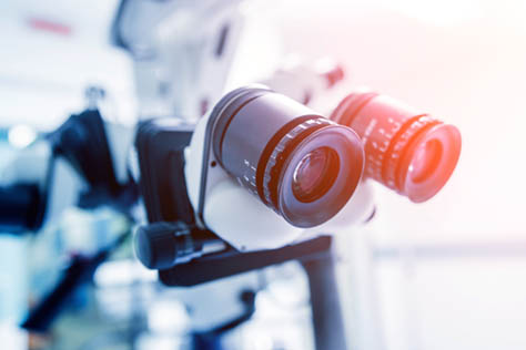 © romaset - Adobe Stock